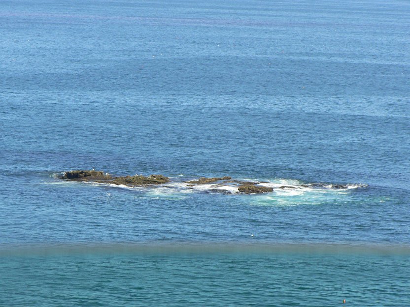 126-birds on rocks.jpg